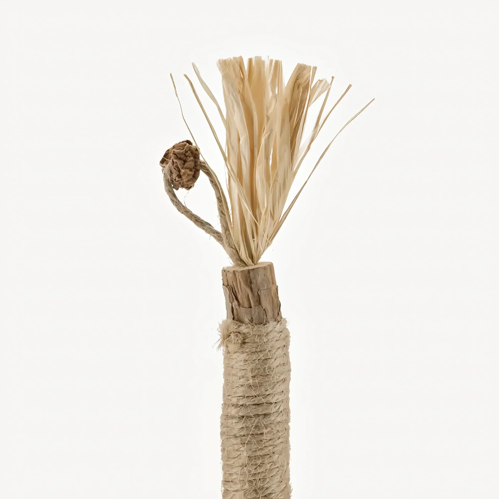 10+10 Purriq Natural Silvervine Dental Sticks